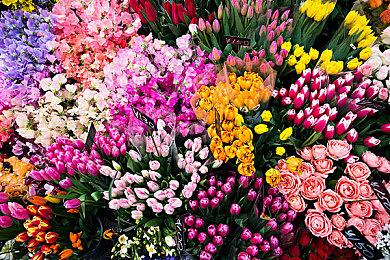 沙盒警匪游戏《警区》宣布跳票 预计2024年秋季发售